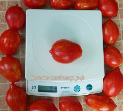 Томат Бешеная полосатая груша (Stripearanoid, США)