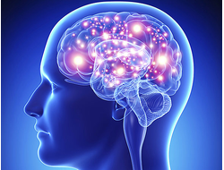 Личностные и интеллектуальные особенности, адаптационные ресурсы, социометрия