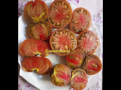 Томат Блаженство