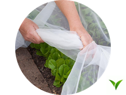 Агроспан (Спанбонд)