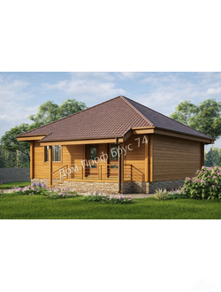 odnoetazhnie-doma-iz-profilirovannogo-drusa-sirius