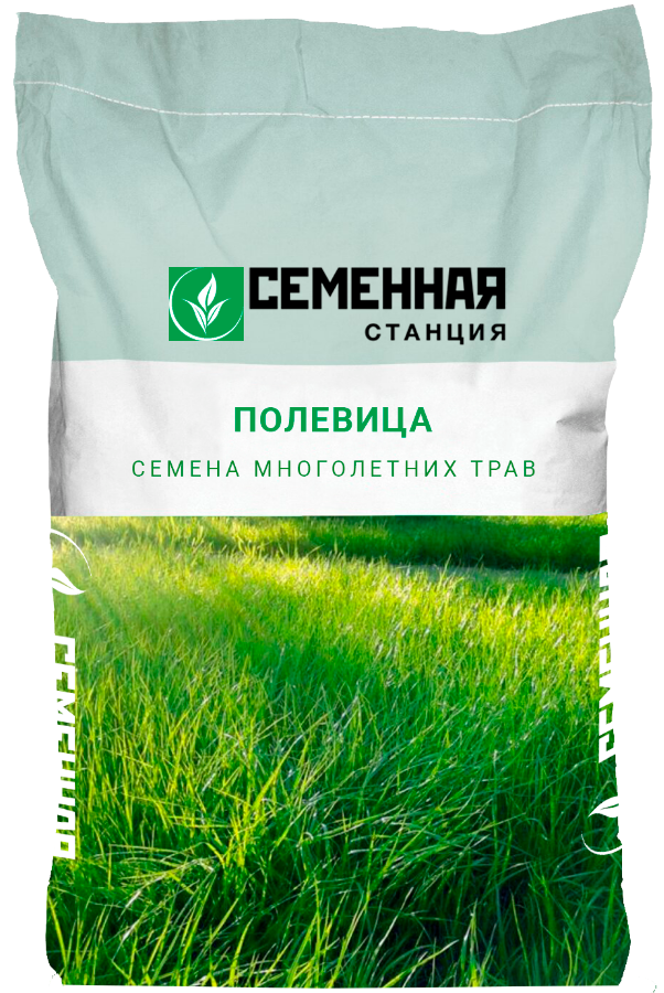 Полевица для газона фото описание