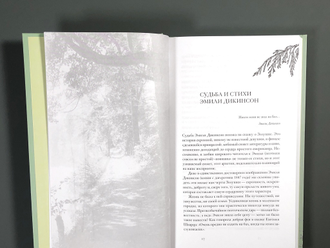 Книга об американской поэзии. Григорий Кружков