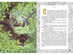 Андрей Горляк. Злато Чуди белоглазой. Повесть-фэнтези для детей.