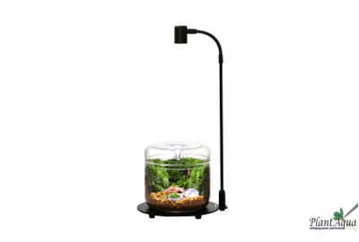 Лампа Biolark Ваби-Куса DX-03 для стеклянных чаш Bioloark Лудзи и Бабл