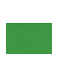 800229 Burano 140г/м2  ярко-зеленый А4