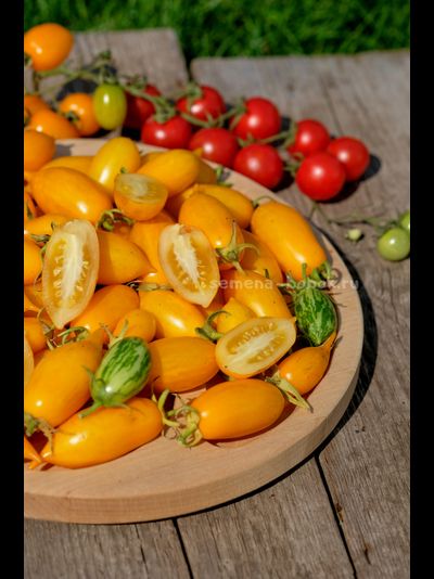 Томат Guinel Yellow (Гуинель жёлтый), 10 шт