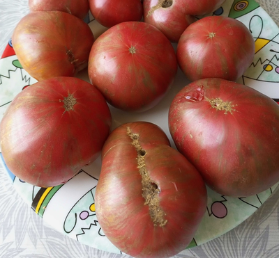 Томат Гном Малиновая нерка (Dwarf Crimson Sockeye)