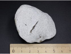 Ставролит, сросток кристаллов "косой крест" на сланце, Россия, Кольский п-ов (58*45*18 мм, 50 г) №26082