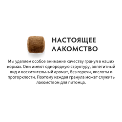 Grandorf Fresh для взрослых кошек с ягненком и бататом, 400 г