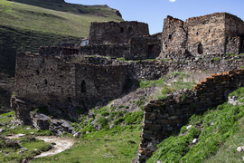 СЕЛЕНИЕ ГАЛИАТ, СЕВЕРНАЯ ОСЕТИЯ