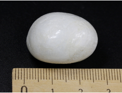Лунный камень, галтовка, Индия (25*13*18 мм, 12 г) №26683