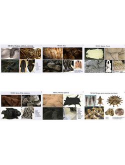 Плакаты ПРОФТЕХ "Ассортимент мехов" (6 пл, винил, 70х100)