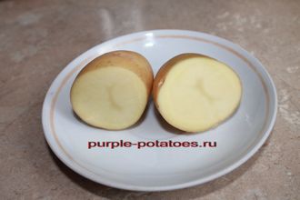 Сорт картофеля Невский