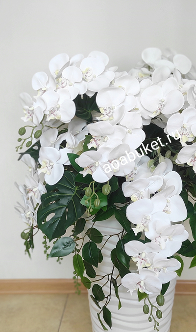 Композиция Орхидея белая № ОРO28