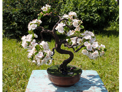 "Цветущий бонсай" ручной работы из полимерной глины.