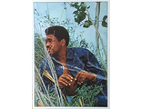 George McCrae Музыкальные открытки, Original Music Card, винтажные почтовые открытки, Intpressshop