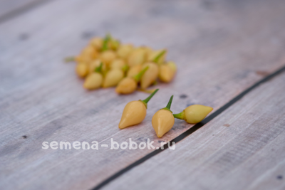 Перец острый BIQUINHO SALMON, 10 шт