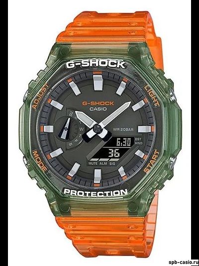 CASIO GA-2100HC-4A