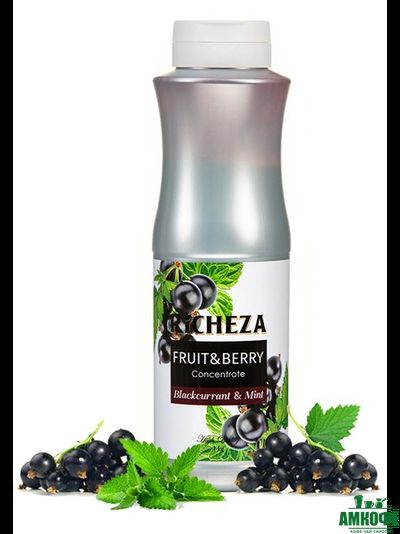 Rонцентрат RiCHEZA Чёрная смородина-Мята