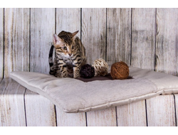 МАТРАС ДОМАШНИЙ 60х60 см