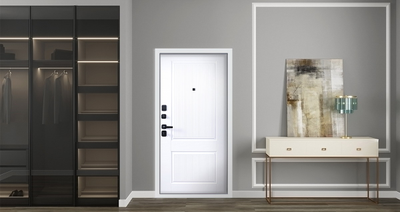 Стальная дверь   Scandi