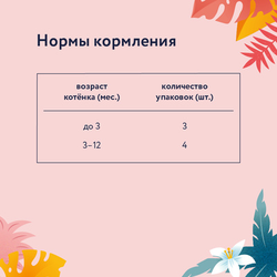 Florida (Флорида) влажный корм (пауч) для котят, кусочки с лососем в соусе 85 г