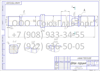 Шток поршня АФНИ 715513.005