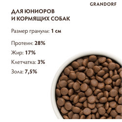 Grandorf Junior (Грандорф): для щенков средних и крупных пород ягненок с индейкой, 10 кг