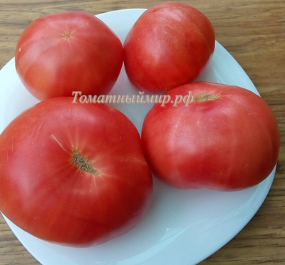 Томат Ливанские горы (Libanaise des Montagnes), США