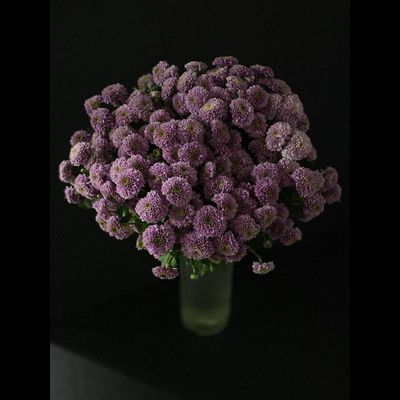 Сантини 25 шт