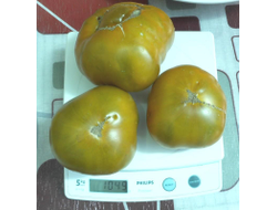 Томат Зеленая сластена