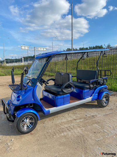 Гольфкар GreenCamel A42 52Ah (4+2 2500W 225/40-10' литые)