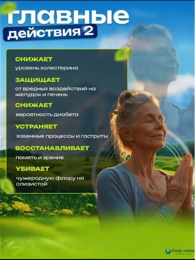 Сибирская лиственница подсочка+, новые сосуды