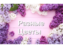Разные Цветы