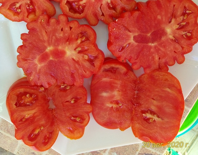 Томат Лев минусинский