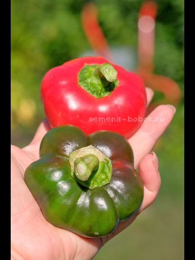 Перец сладкий Гогошар Советский, 10 шт