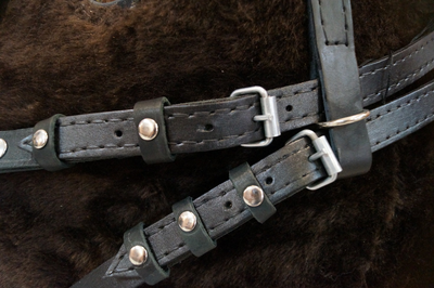 Узда кожаная(с регулировкой размера от COB до FULL)