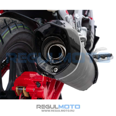 Regulmoto Raptor new
