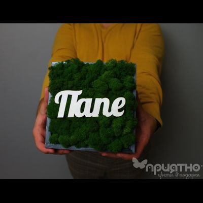 ЖИВАЯ ЭКО-КАРТИНА 1003