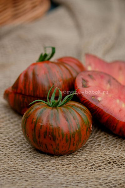 Томат Shake the Disease (Исцелись), 10 шт