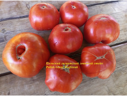 Томат Польский гигантский говяжий стейк (Polish Giant Beefsteak)