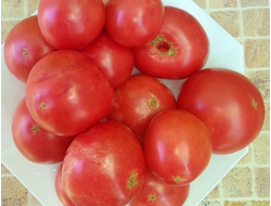 Томат Демидов