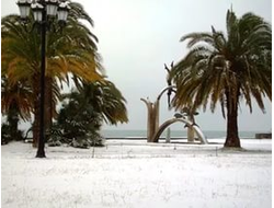 НОВЫЙ ГОД НА ПИЦУНДСКОМ ВЗМОРЬЕ 30.12-03.01