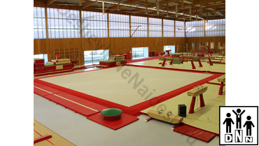 Гимнастический ковер для спортивной гимнастики