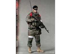 ПРЕДЗАКАЗ - Командир взвода морской пехоты ВМФ России - Коллекционная ФИГУРКА 1/6 scale Russian Naval Infantry Commander Mariupol (78111) - DAMTOYS ?ЦЕНА: 25700 РУБ.?