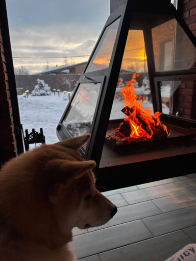 Подвесной камин из стекла и металла FLY