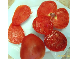 Томат Венгерский овал (Hungarian Oval)