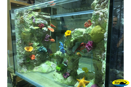 Аквариум с фоном от производителя