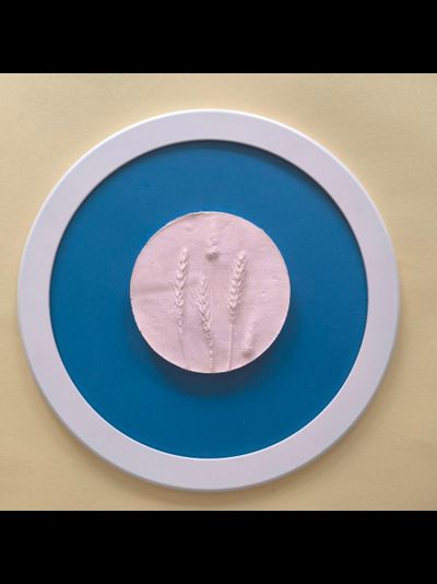 Панно круглое на стену из гипса «Полевые травы Еврейской автономной области» в раме